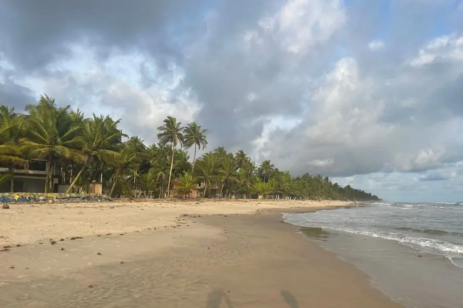 A palm tree-filled beach in Assinie, a beach area in Côte d'Ivoire (Ivory Coast).