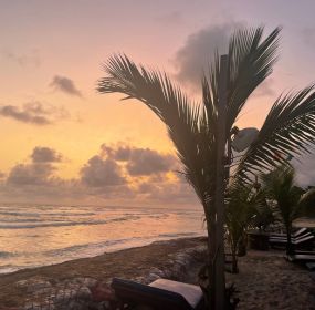 Côte d'Ivoire sunset with palm tree